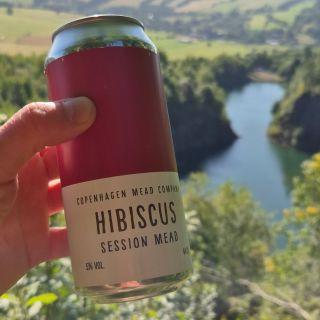 Hledáš letní osvěžení na výlet? Dánské nízkoalkoholické medoviny jsou na léto jak vyšité. Ibišek nebo bez sosej z...